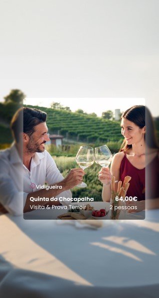 Website Mobile Portugal by Wine
